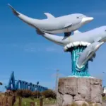 aquariumjpg