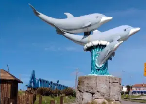 aquariumjpg