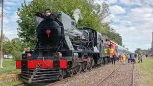como-llego-una-locomotora-vapor-las-vias-del-tren-roca