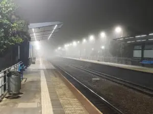 niebla