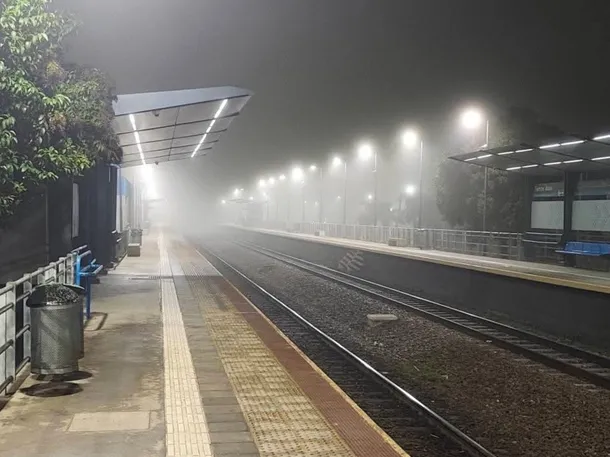 niebla