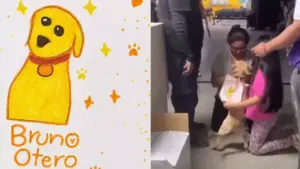 perro-encontrado-colombia