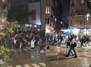 que-se-vayan-todos