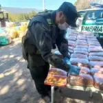 cargamento-drogas-catamarca